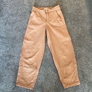 Everlane Barrel Pants